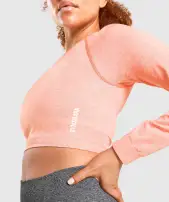 Adapt Marl Seamless Long Sleeve Crop Top(Orange,XS)