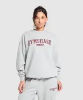 Collegiate Lifestyle Oversized Sweatshirt