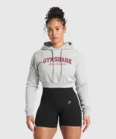 Lifting Essentials Graphic Cropped Hoodie(Light Grey Core Marl,XXS)