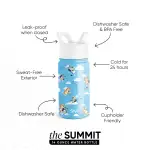 Summit Kids Water Bottle with Straw Lid(Bluey Sky,14oz)