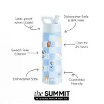 Summit Kids Water Bottle with Straw Lid(Bluey Checkmate,18oz)