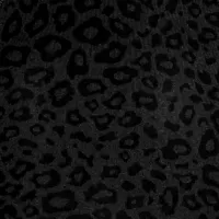 WIRELESS FORM LACE PUSH-UP PLUNGE BRA (ONYX MICRO LEOPARD PRINT,30,A)